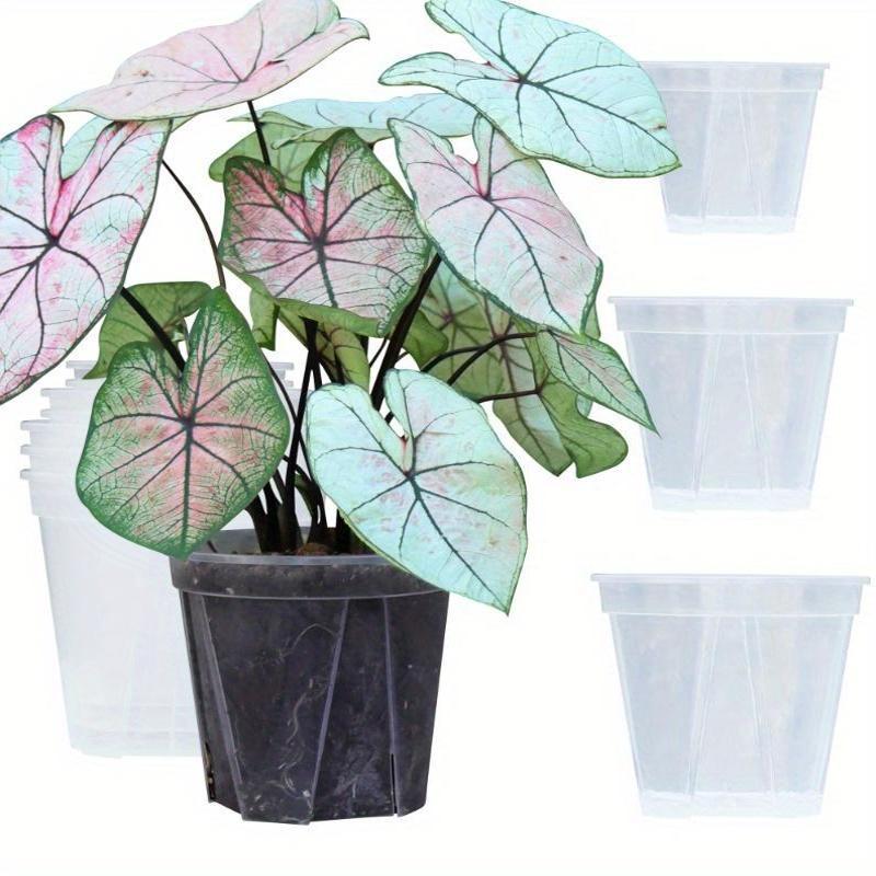 ClearSprout - Transparent Plant Pots for Root Monitoring & Healthy Growth 8