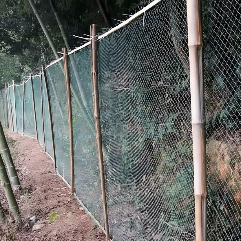 FARMGUARD - UV-Resistant Netting for Orchards, Birds & Deer 4