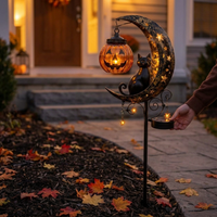ITERPUB::cold-faironto-15995230421322::02-inuse