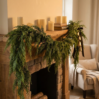 ITERPUB::cold-faironto-16012112560458::02-inuse