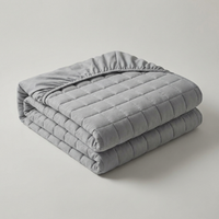 ITERPUB::cold-faironto-16053563982154::04-variant-grey