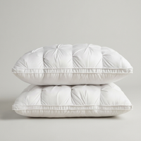 ITERPUB::cold-faironto-16056495112522::04-variant-white