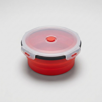 ITERPUB::cold-faironto-16056544723274::05-variant-red