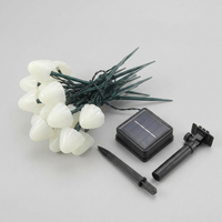 ITERPUB::cold-faironto-16009460253002::08-variant-5m-20-led-colored