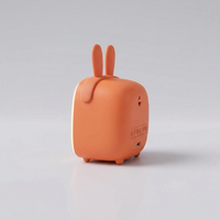 ITERPUB::cold-faironto-16053556052298::10-variant-orange-rabbit-ear