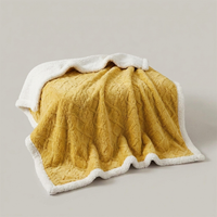 ITERPUB::cold-faironto-16055480549706::10-variant-yellow