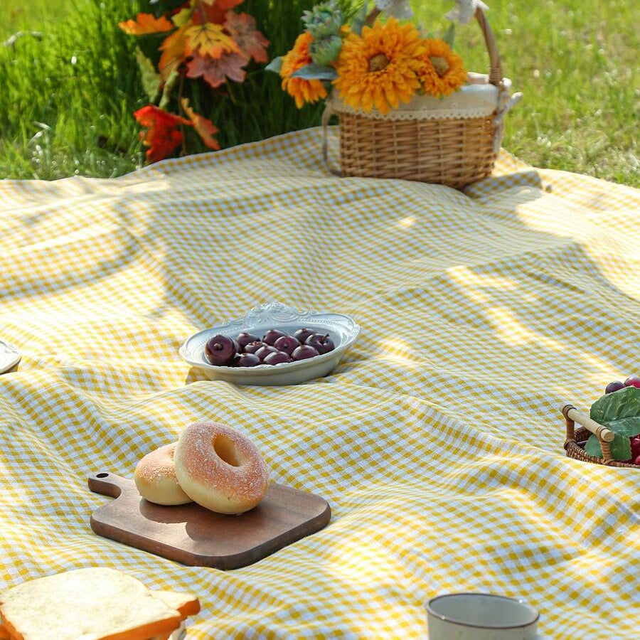 PICLUX – Minimalist Plaid Outdoor Picnic Mat for Quick-Dry Travel and Leisure Use