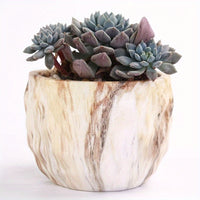 CERANEST – Vibrant Marble Style Planters for Indoor & Outdoor Décor