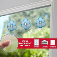 FLYFLOW – Sticky Window Insect Traps for Kitchens & Plants