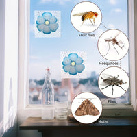 FLYFLOW – Sticky Window Insect Traps for Kitchens & Plants