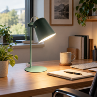 PIVOTRAY – Adjustable Desk Lamp for Flexible Light Direction