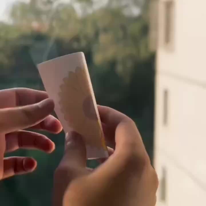 FLYFLOW – Sticky Window Insect Traps for Kitchens & Plants