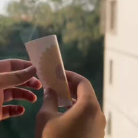 FLYFLOW – Sticky Window Insect Traps for Kitchens & Plants