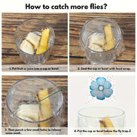 FLYFLOW – Sticky Window Insect Traps for Kitchens & Plants