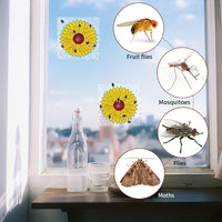 FLYFLOW – Sticky Window Insect Traps for Kitchens & Plants