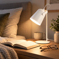 PIVOTRAY – Adjustable Desk Lamp for Flexible Light Direction