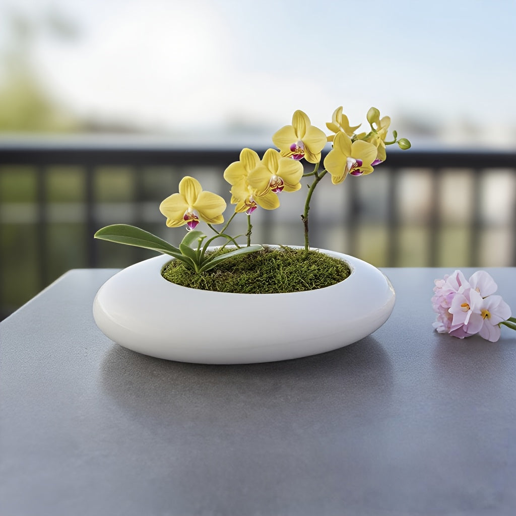 ORCHIDFLOW – Shallow Ceramic Bonsai Pot with Artistic Pebble Design