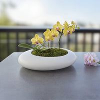 ORCHIDFLOW – Shallow Ceramic Bonsai Pot with Artistic Pebble Design