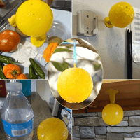 FLYTRAP – Insect Trap for Indoor and Outdoor Fly and Fruit Fly Control
