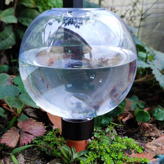 Automatic Plant Watering System - Spherical Device for Small Succulents, 2 or 4 Pack 0
