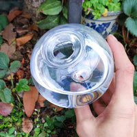 Automatic Plant Watering System - Spherical Device for Small Succulents, 2 or 4 Pack 2