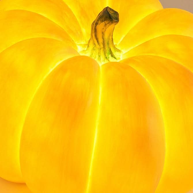 GOURDARC – Outdoor Pumpkin Light for Elegant Weatherproof Glow