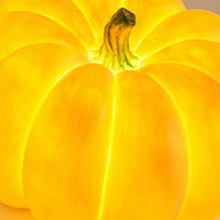 GOURDARC – Outdoor Pumpkin Light for Elegant Weatherproof Glow