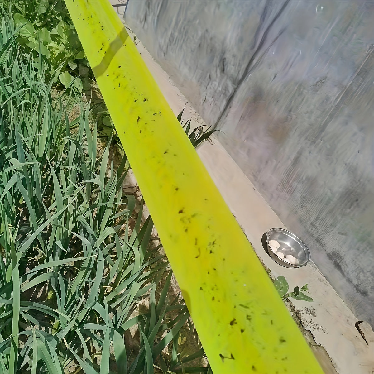 BUGSTRIP – Sticky Outdoor Insect Barrier Tape 5
