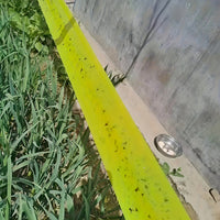 BUGSTRIP – Sticky Outdoor Insect Barrier Tape 5