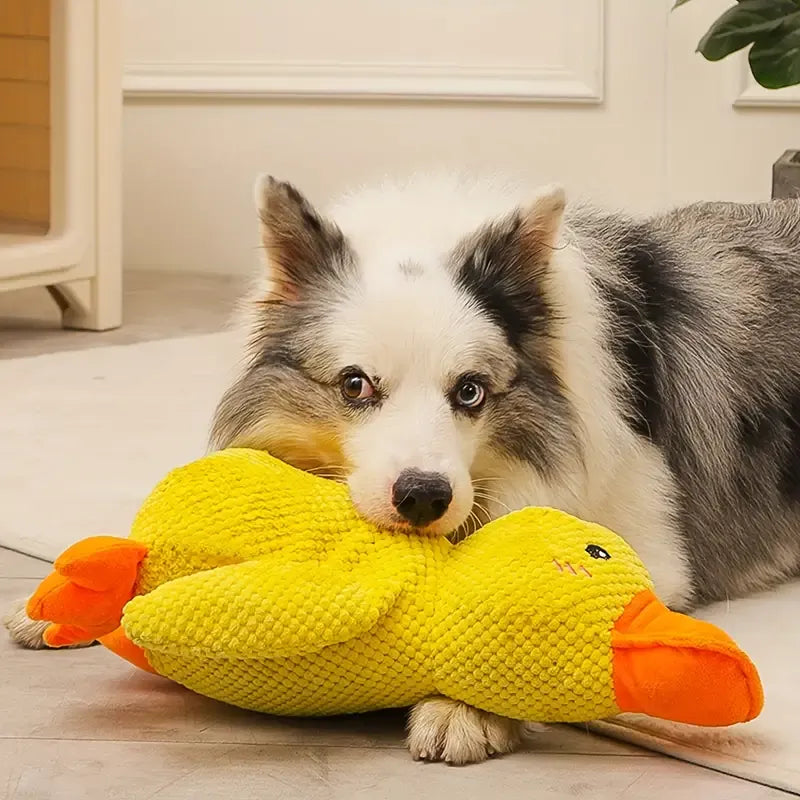 Calming Duck - Interactive Plush Dog Toy with Quacking Sound for Playtime 2