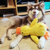 Calming Duck - Interactive Plush Dog Toy with Quacking Sound for Playtime 4