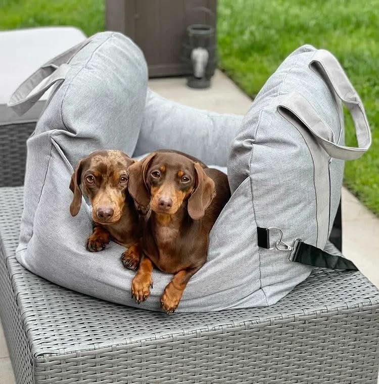 ComfyRide - Adjustable Dog Seat Bed with Non-Slip Base & Safety Straps 8