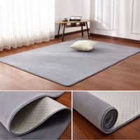 Coral Living Room Rug - Non-Slip & Soundproof Fleece Area Rug in 12 Colors 1