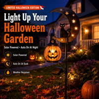 MOONEMBER – Pumpkin Garden Top for Warm Outdoor Ambience