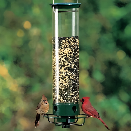 FEEDSAFE - Squirrel-Proof Bird Feeder with Weight-Activated Perch 0