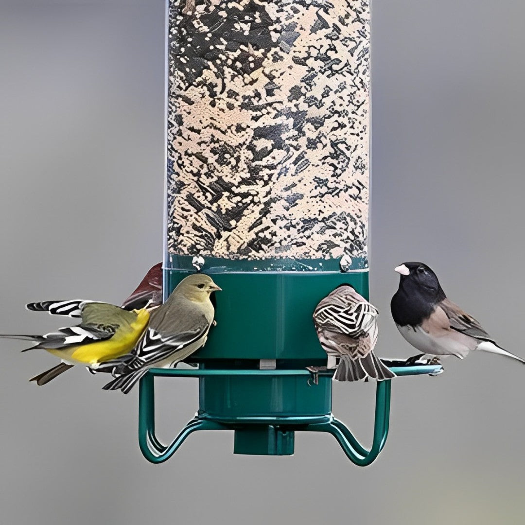 FEEDSAFE - Squirrel-Proof Bird Feeder with Weight-Activated Perch 1