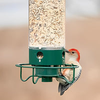FEEDSAFE - Squirrel-Proof Bird Feeder with Weight-Activated Perch 2