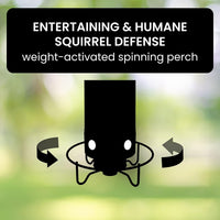 FEEDSAFE - Squirrel-Proof Bird Feeder with Weight-Activated Perch 7