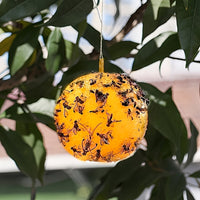 FLYORB - Sticky Fruit Fly Trap Balls for Effective Insect Control 0