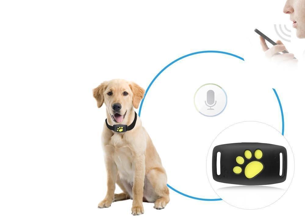 MEOWLOC - GPS cat tracker collar designed for real-time location monitoring and pet safety 2