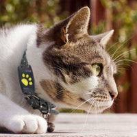 MEOWLOC - GPS cat tracker collar designed for real-time location monitoring and pet safety 3