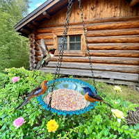 BIRDNEST – Hanging Double Bowl Feeder for Outdoor Bird Watching