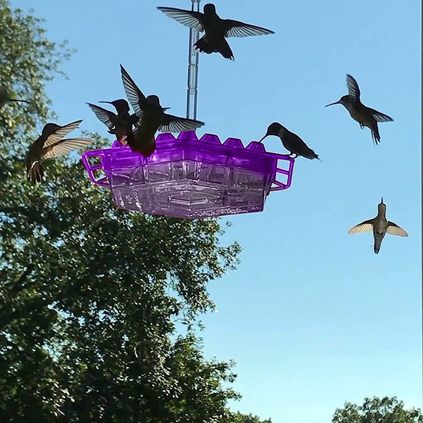 NECTARHAVEN – Ant-Proof Hummingbird Feeder with 30 Easy Access Ports 0