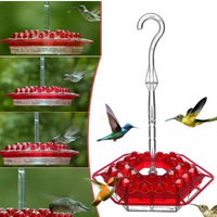 NECTARHAVEN – Ant-Proof Hummingbird Feeder with 30 Easy Access Ports 4