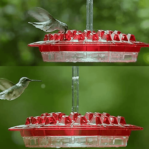 NECTARHAVEN – Ant-Proof Hummingbird Feeder with 30 Easy Access Ports 5