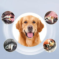 ORALPAW - Advanced Ultrasonic Teeth Cleaning Device for Pets with 5 Care Levels 1
