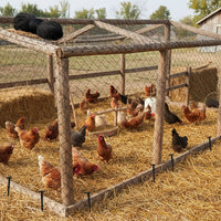 NETLIVA – Protective Garden Netting for Orchards & Gardens