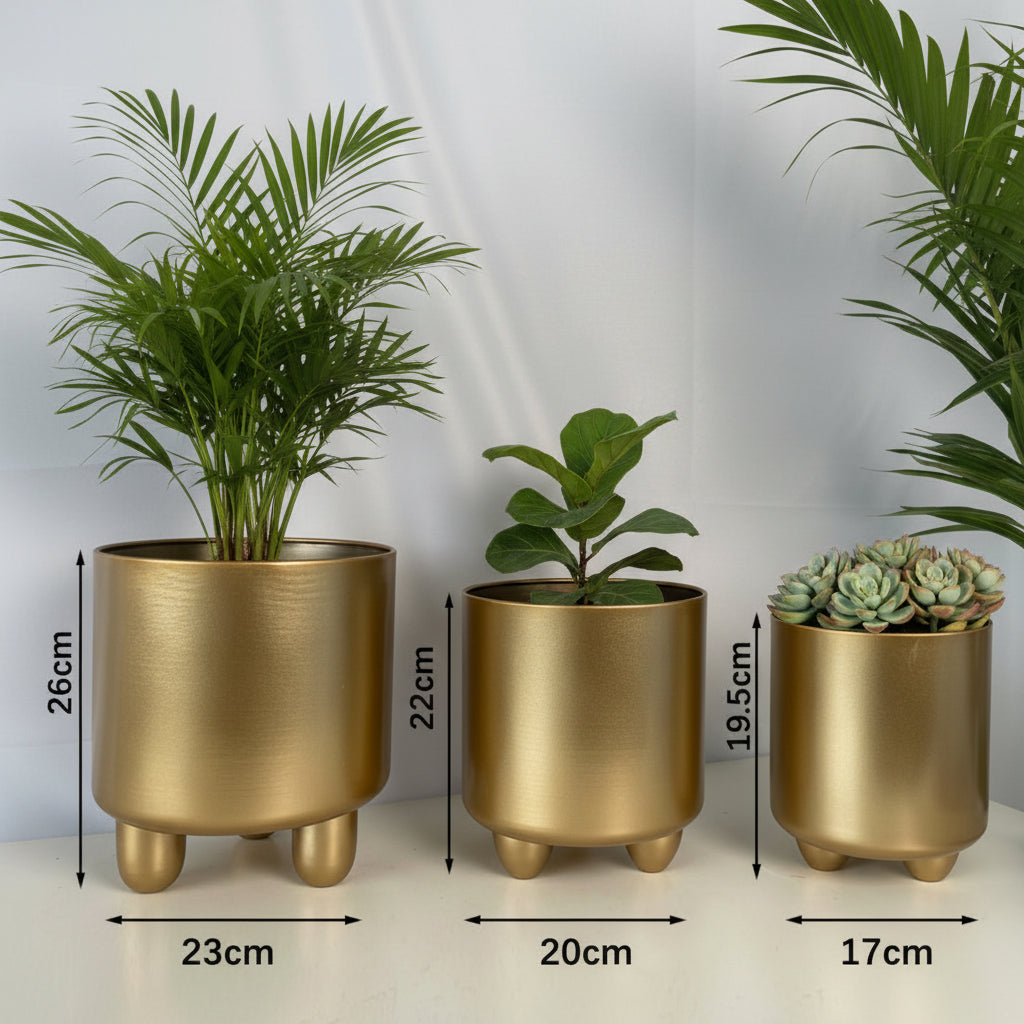 NOIRBLOOM – Moderne keramisk plantesæt