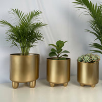 NOIRBLOOM – Moderne keramisk plantesæt