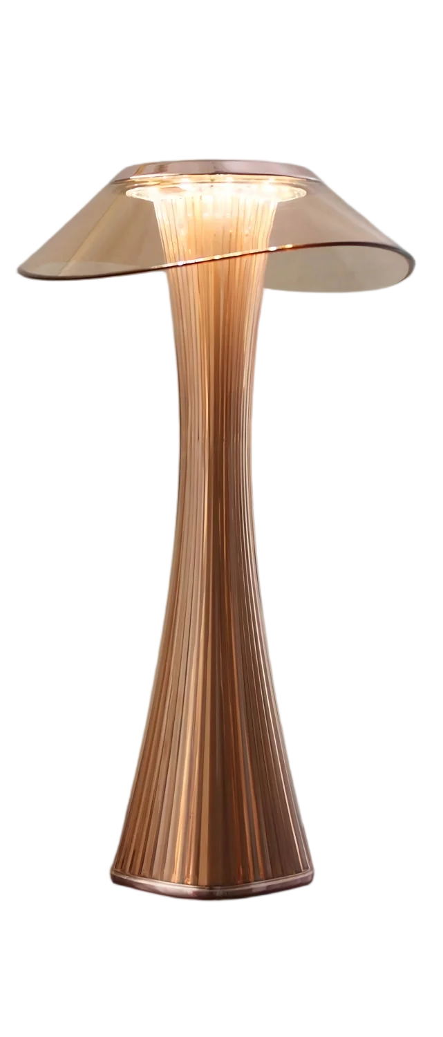 Touch-Dimmable LED Table Lamp - Rechargeable Mood Light for Indoor & Outdoor 7